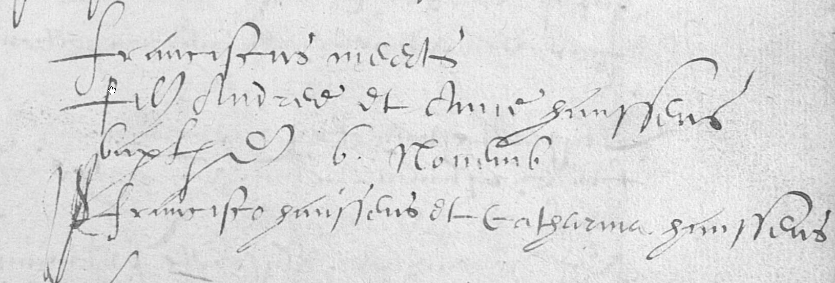 1618-FranciscusMeerts6Nov1618.jpg